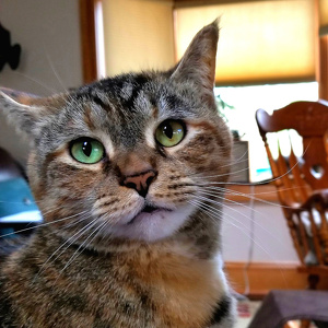 Fundraising Page: Jane Zimmerman 